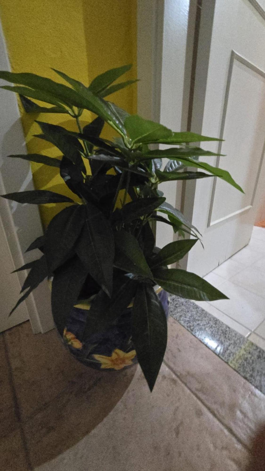 Giorgio Apartman Tropea Kültér fotó